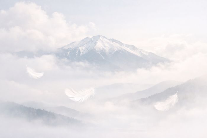 乗鞍岳で心身を浄化！天空のパワースポットでエネルギーチャージ