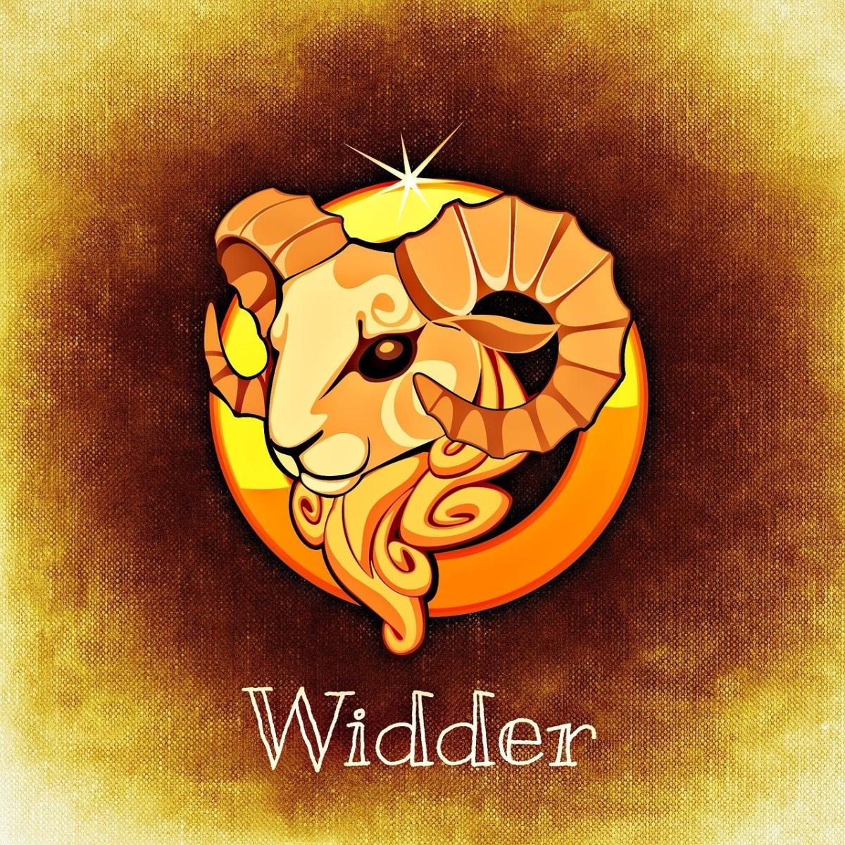 真っ直ぐな愛情が引き寄せるもの