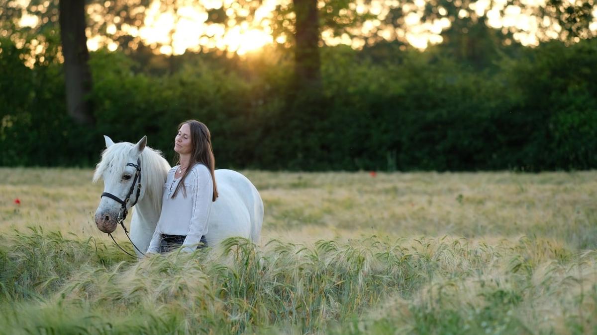 本命星が示す、心を通わせる兆し