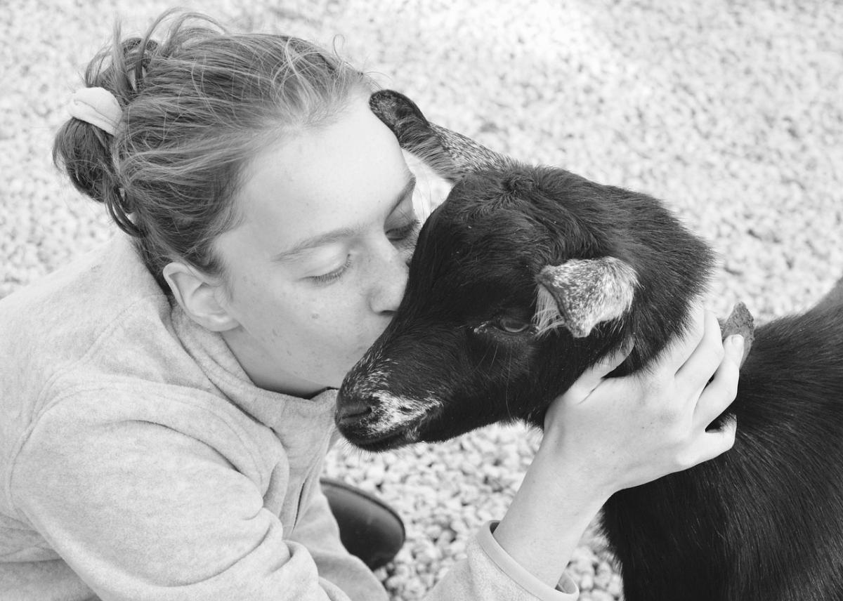 恋に落ちた後の現実 共鳴しあう不安定さの対処法