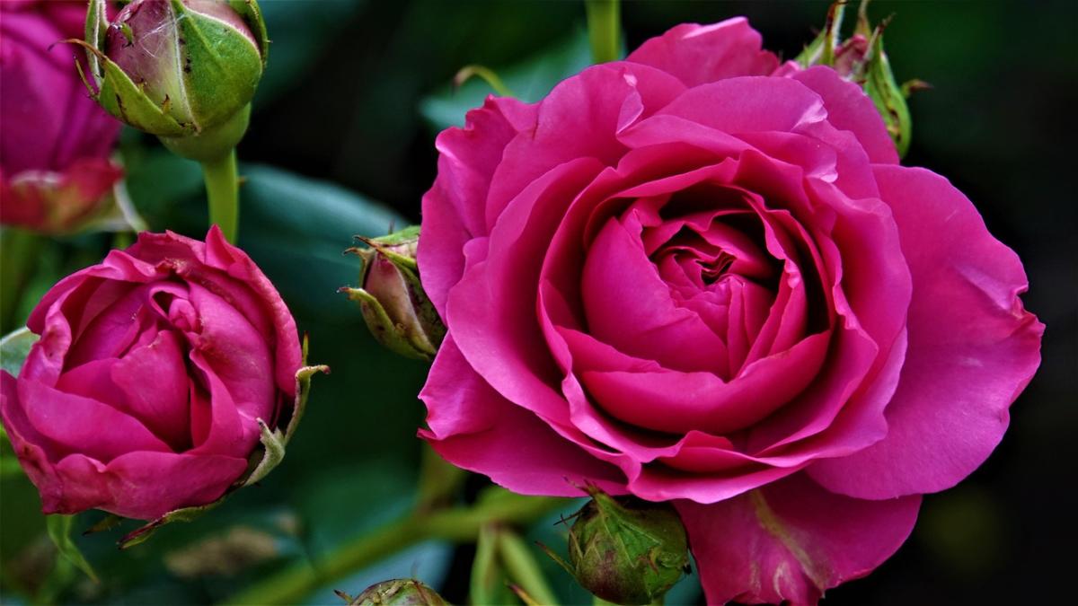 恋愛成就の証言から見えてくる神秘の力