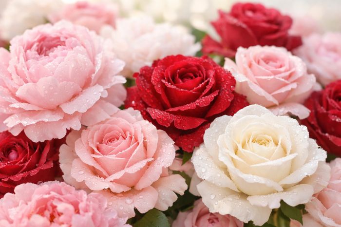 銭洗弁財天宇賀福神社で金運開運！鎌倉の隠れたパワースポット