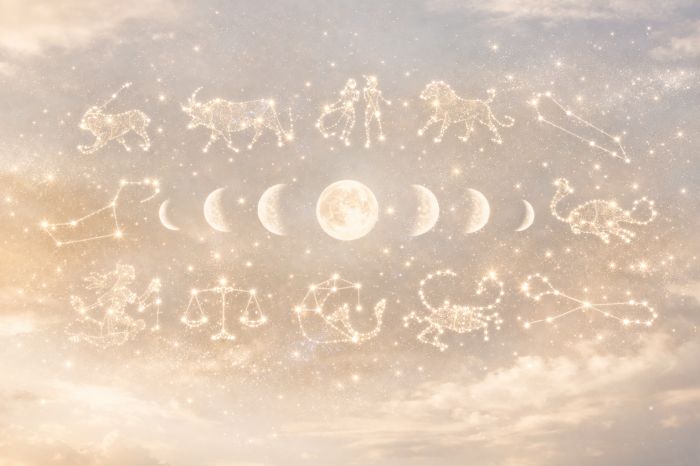 未来のキャリアを拓く求人の見極め