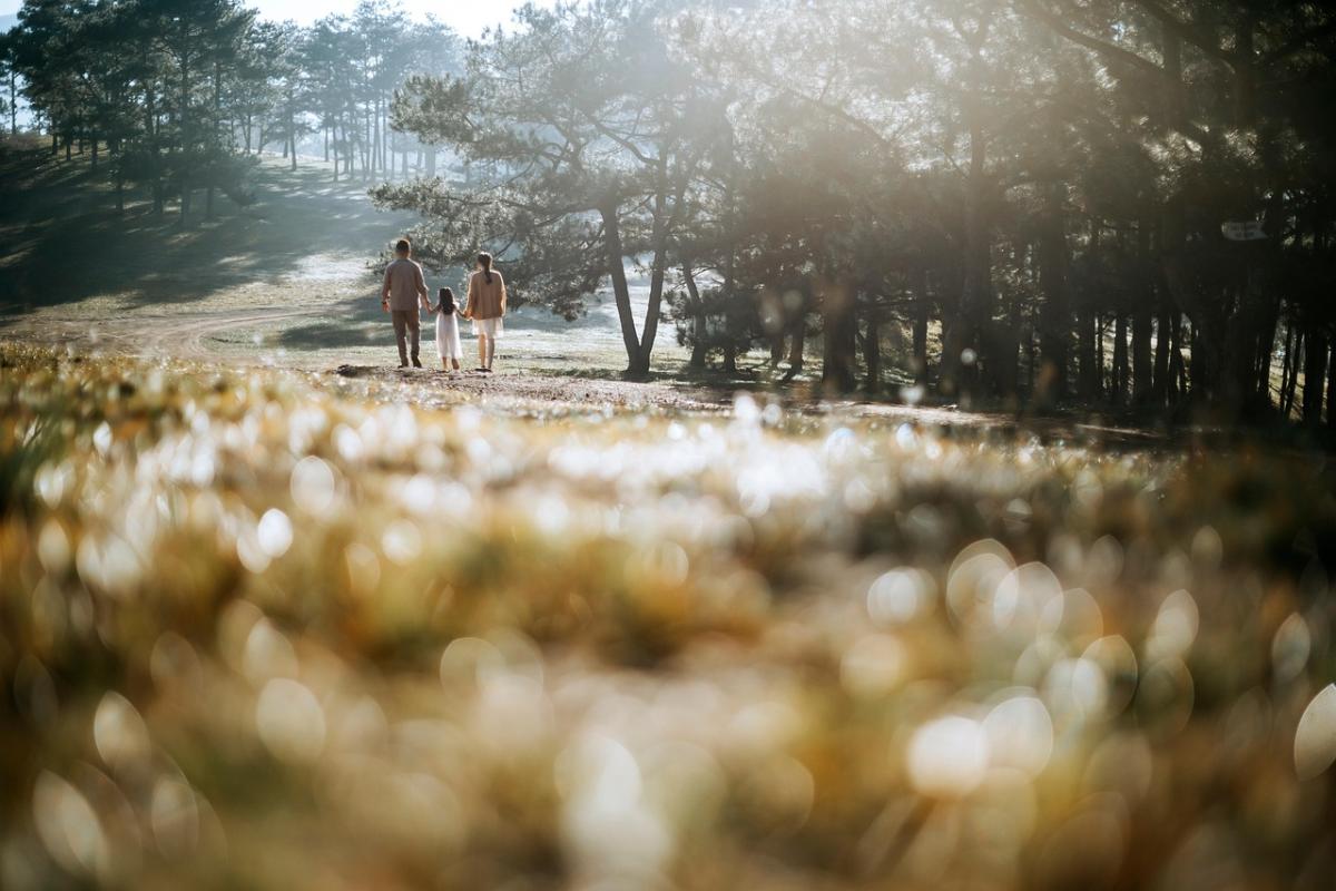 進まない状況を打破する心理的アプローチ