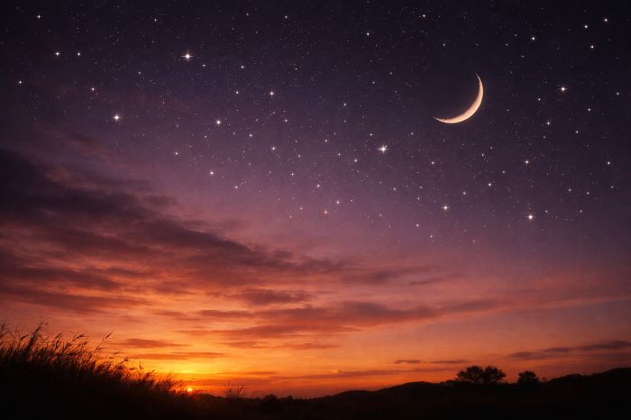 タロット占いの始め方｜初心者向けカード選びから展開法まで