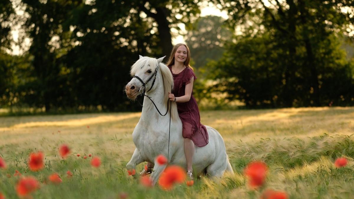 膠着状態を打開する行動のヒント