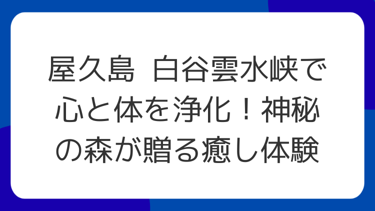 屋久島 白谷雲水峡で心と体を浄化！神秘の森が贈る癒し体験